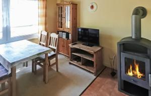a living room with a fireplace and a table and a television at 2 Bedroom Beautiful Home In Boitzenburger Land in Rosenow