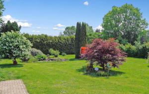 einen Garten mit zwei Bäumen und einem Grasfeld in der Unterkunft Gorgeous Apartment In Hohen Sprenz With Kitchen in Hohen Sprenz