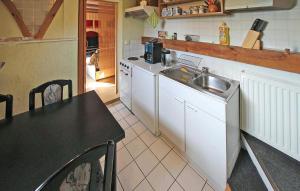 a kitchen with a sink and a table with a tableablish at Amazing Apartment In Meiersberg With Kitchen in Meiersberg