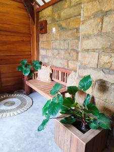 weranda z ławkami i roślinami w kamiennej ścianie w obiekcie Little Elephant Cottage w Gili Trawangan