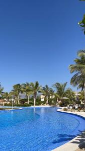 a large swimming pool with palm trees on a beach at Abu sjood in Salalah