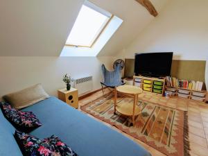 un soggiorno con letto blu e TV di Gîte de charme à la ferme avec jardin clos et activités familiales - FR-1-591-582 a Thenay