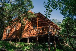 une cabane en rondins entourée d'arbres dans l'établissement RUNA YAKU KAUNAZ, à Salta