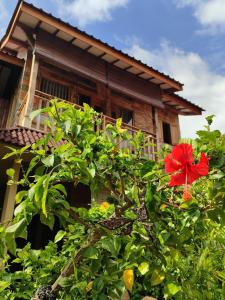 un arbre avec une fleur rouge devant une maison dans l'établissement Little Elephant Cottage, à Gili Trawangan