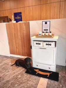 a dog laying on the floor next to a small stove at The Sebel Canberra Civic in Canberra