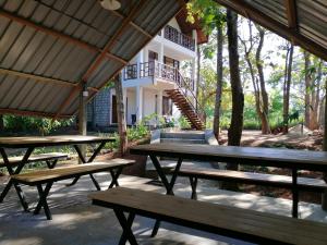 阿努拉德普勒的住宿－Malwathu Oya Forest Garden，一组野餐桌在建筑前