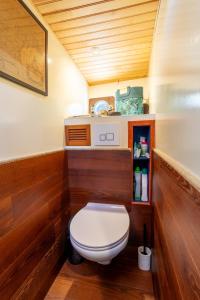 - une petite salle de bains avec toilettes dans un bateau dans l'établissement Bateau Le Nubian, à Narbonne
