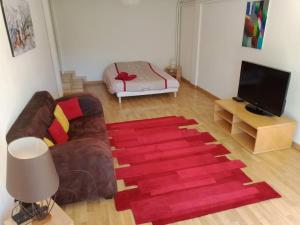 ein Wohnzimmer mit einem Sofa und einem roten Teppich in der Unterkunft Appartement d'une chambre avec terrasse et wifi a Brives Charensac in Brives-Charensac
