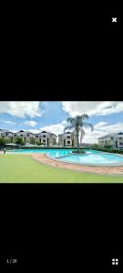 a picture of a swimming pool with a palm tree at URlyfstyle Cottage @ Kikuyu waterfall in Midrand