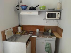 een kleine keuken met een wastafel en een magnetron bij Studio indépendant dans charmante bastide in Mallemort
