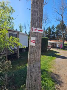 un árbol con signos en su lado en Mobil-Home Le Bosc 5 personnes, en Le Bosc