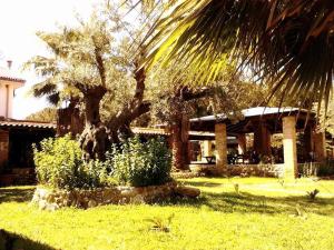 Gallery image of Affittacamere Villa Brazzano in Scalea