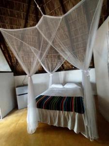 Afbeelding uit fotogalerij van CAFE MAYA in Zipolite