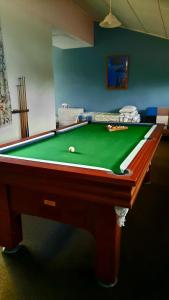 a pool table with a ball on top of it at The Old Dairy Factory in Norsewood