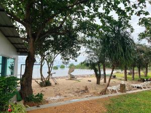 un grupo de animales en una playa cerca del agua en พายเนอรี รีสอร์ท @แหล่มแท่น (Pinery Resort) 