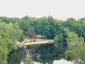 Elle offre une vue sur un lac avec des arbres et un parc. dans l'établissement Maison calme proche étang, à La Coquille