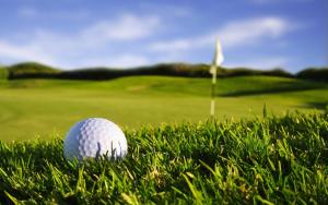 une balle de golf assise dans l'herbe à côté d'un parcours de golf dans l'établissement Khumug Tour Resort, à Yoliin Hural