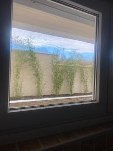 a window with a view of a beach with plants at SnD Rentals- Studios in Kozani