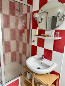 uma casa de banho com um lavatório e um espelho em Landhaus am Schaalsee em Zarrentin