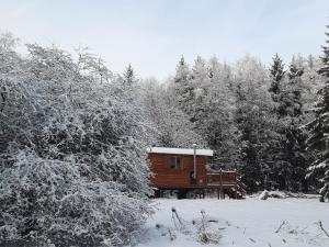 mały domek w środku śnieżnego lasu w obiekcie Le Domaine du Bodseu w mieście Francorchamps