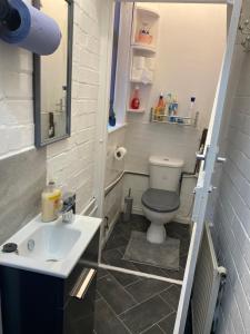 ein Bad mit einem WC und einem Waschbecken in der Unterkunft Newtons Lodge in Nottingham