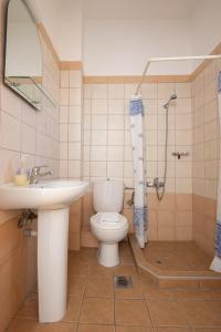 a bathroom with a toilet and a sink and a shower at Alexis Apartments in Stavros