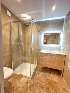 a bathroom with a shower and a toilet and a sink at Maison avec cour intérieure in Souillac