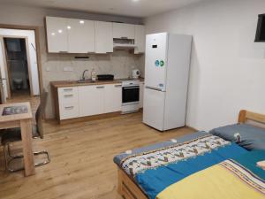 Kuchyň nebo kuchyňský kout v ubytování Malý apartmán v Praze