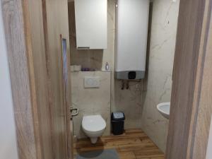 a small bathroom with a toilet and a sink at Malý apartmán v Praze in Prague