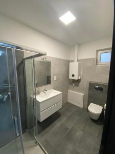 ein Bad mit einem Waschbecken, einer Dusche und einem WC in der Unterkunft Kossuth 41 in Balatonlelle