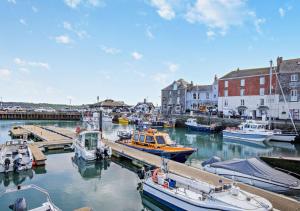 een groep boten is aangemeerd in een haven bij 12 New Street in Padstow