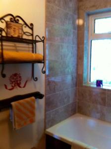 a bathroom with a tub and a window at Five Saints Farmhouse B&B in Pumpsaint