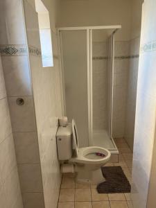 ズノイモにあるPenzion Znojmoのバスルーム(トイレ、シャワー付)