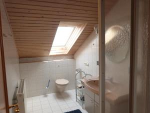a bathroom with a toilet and a skylight at Apartment in the Allg u with view of the Bavarian Alps in Bernbeuren