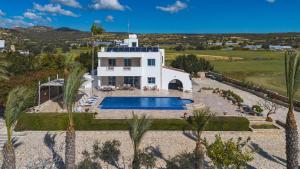 an aerial view of a house with a swimming pool at Villa Chrysta in Ayios Theodhoros