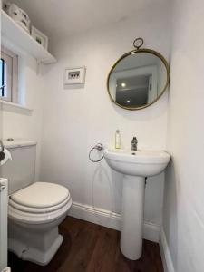 a bathroom with a toilet and a sink and a mirror at Splendid South Dublin Ranelagh Townhouse in Dublin