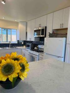 a kitchen with a vase with a sunflower on a counter at Darling, Peaceful, Near Beach, EV Charger in Santa Barbara