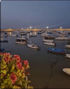 Un montón de barcos atracados en un puerto en IL BORGO ANTICO - TORRE A MARE, en Torre a Mare