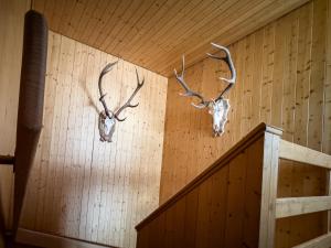Fotografie z fotogalerie ubytování Chalet Talblick v destinaci Riederalp