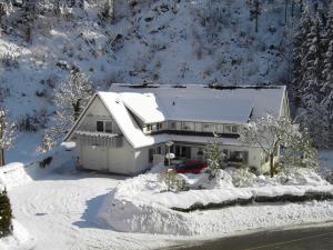 a house covered in snow with a driveway at Apartment in Oppenau near Black Forest National Park in Oppenau