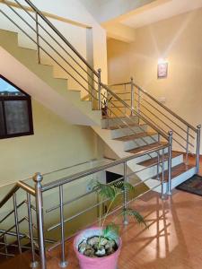 una escalera en una casa con una maceta en OYO Home Inn Of Dreams Homestay, en Wayanad