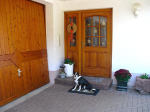 un chat assis sur un tapis devant une porte dans l'établissement Comfortable holiday home in a beautiful location, à Hofstetten