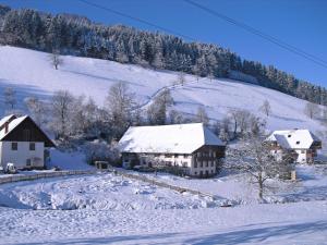 HofstettenにあるComfortable holiday home in a beautiful locationの雪に覆われた建物と山のある村
