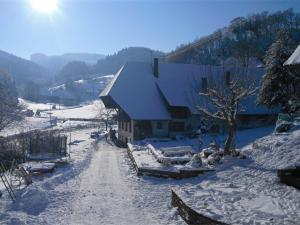 HofstettenにあるComfortable holiday home in a beautiful locationの雪道