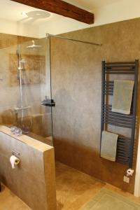 ein Badezimmer mit Dusche mit Glastür in der Unterkunft Weitblick - Ruhepol in münsterländer Parklandschaft in Dülmen