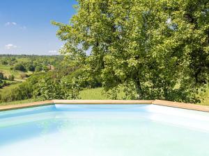 a blue swimming pool with a tree in the background at Farmhouse with private pool large garden and playground in Thenon