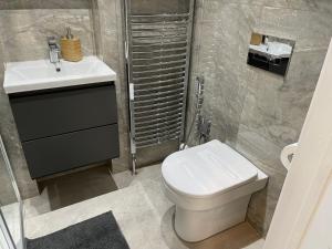 ein Badezimmer mit einer weißen Toilette und einem Waschbecken in der Unterkunft Luxurious Restful Studio Flat, Less Than 30 Mins From Centre! in London
