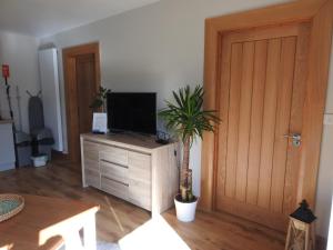 a living room with a television on a cabinet with a palm tree at Ard Na Mara, Mullaghmore, Sligo in Mullaghmore