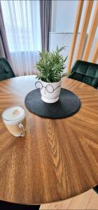 uma planta em vasos sentada em cima de uma mesa de madeira em Studijos tipo būstas em Kretinga