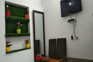 a room with a mirror and a tv and plants at OYO The Takhatgarh Resort in Nāthdwāra